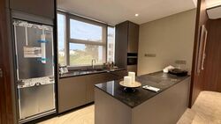 Alocassia Apartments (D10), Condominium #533668101